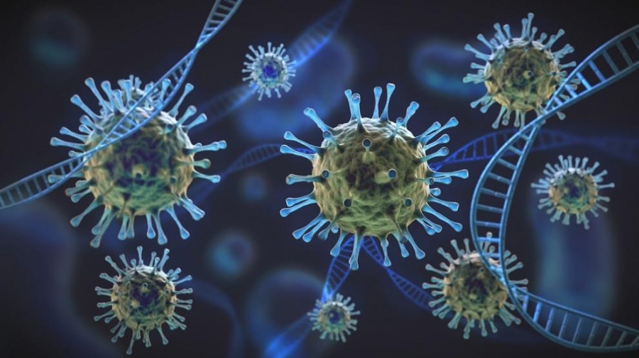 462 са новите случаи на коронавирус у нас